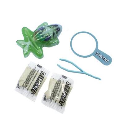 Slimy Dissect it Mini With Magnifying Glass 38083 - 3