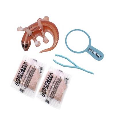 Slimy Dissect it Mini With Magnifying Glass 38085 - 3