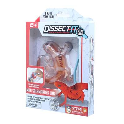 Slimy Dissect it Mini With Magnifying Glass 38085 - 2