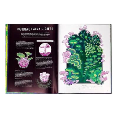 Thames And Hudson Glow - The Wild Wonders Of Bioluminescence - 2