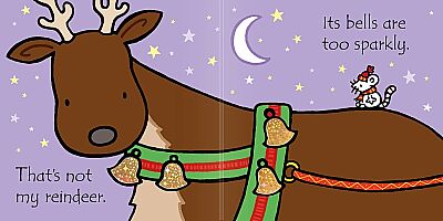 That'S Not My Reindeer - 4