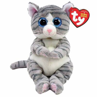 Ty Mıtzı - Grey Tabby Cat Reg 150079Ty40539 - 1