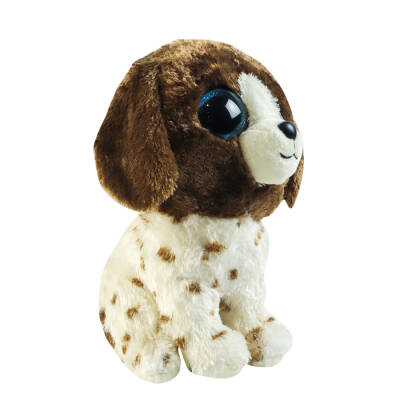 Ty Muddles - Dog Brown White Reg 150079Ty36249 - 2