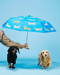 Umbrella Original Duckhead Duck Kompakt Dogs in Blue Şemsiye CP110 - 4