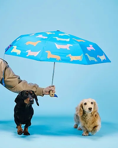 Umbrella Original Duckhead Duck Kompakt Dogs in Blue Şemsiye CP110 - 4