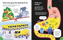 Usborne - Big Book Of Things To Know - 2