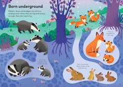 Usborne - Little First Stickers Baby Animals - 2