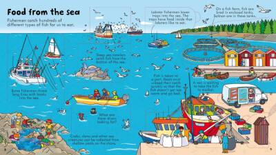 Usborne - Look Inside Food - 2