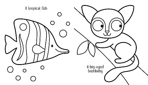 Usborne - My Big Animal Colouring Book - 3