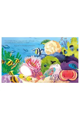 Usborne - Peep İnside A Coral Reef - 2