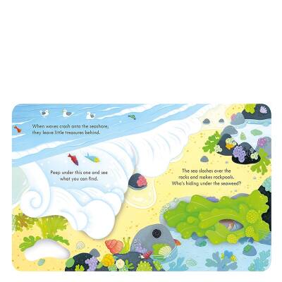 Usborne - Peep Inside The Seashore - 2