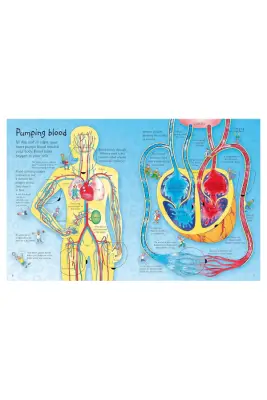 Usborne See Inside Your Body Hb - 2