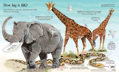 Usborne Big Book Of Animals - 2