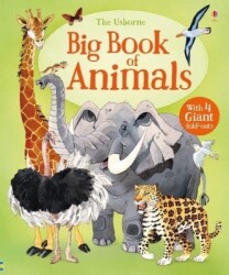 Usborne Big Book Of Animals - Usborne