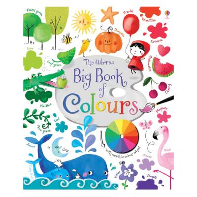 Usborne Bıg Book Of Colours - 1