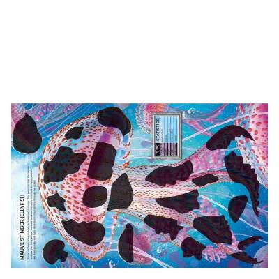 Usborne Build Your Own Sea Creatures Sticker Book - 2