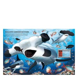 Usborne Build Your Own Sea Creatures Sticker Book - 4