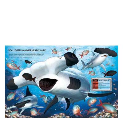 Usborne Build Your Own Sea Creatures Sticker Book - 4