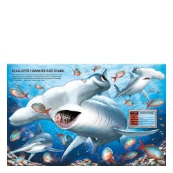 Usborne Build Your Own Sea Creatures Sticker Book - 5