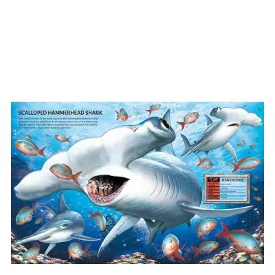 Usborne Build Your Own Sea Creatures Sticker Book - 5