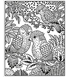 Usborne Magic Painting Zoo - 3