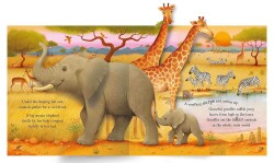 Usborne POP-Up Animals - 3