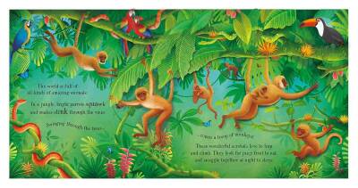 Usborne POP-Up Animals - 4