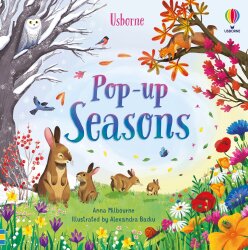 Usborne Pop-Up Seasons - 1