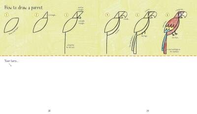 Usborne Step-by-Step Drawing Animals - 2