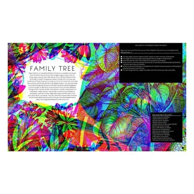 Wide Eyed Editions Illumibugs - 3