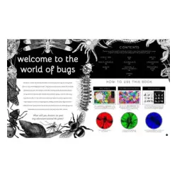 Wide Eyed Editions Illumibugs - 5