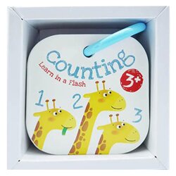 Yoyo Books Counting Learn In A Flash - Yoyo Books
